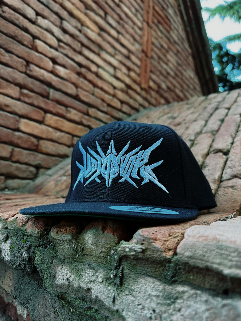 Audiosvora Snapback — Core Logo
