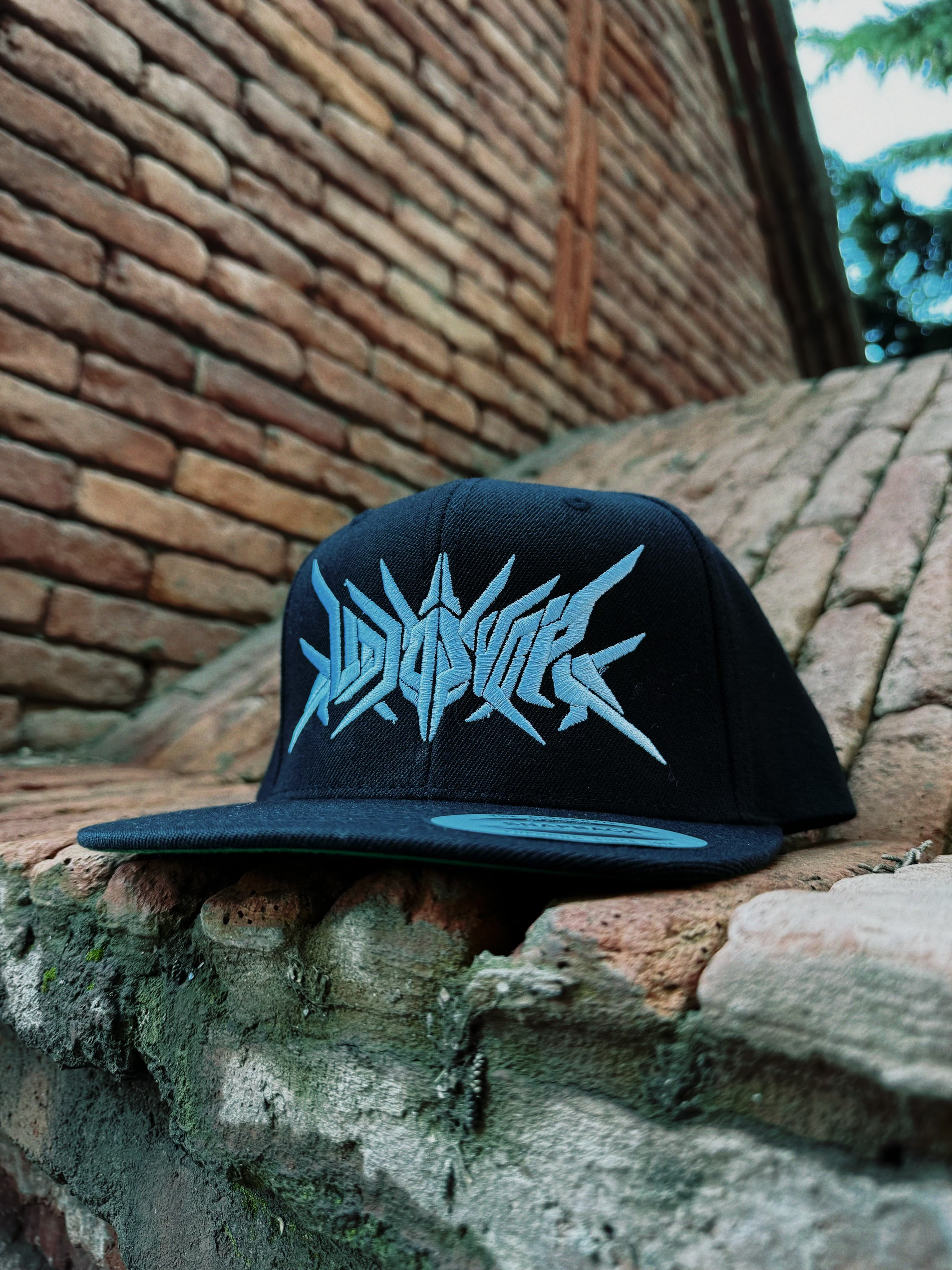 Audiosvora Snapback — Core Logo