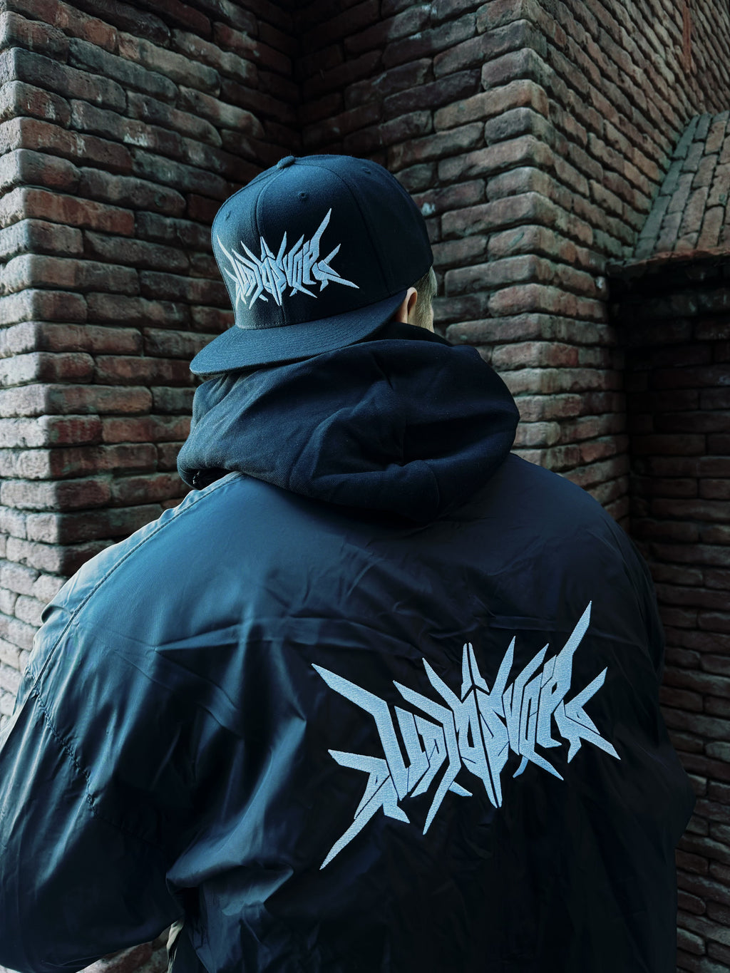 Audiosvora Snapback — Core Logo